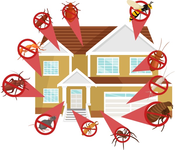 Affordable Exterminating Services